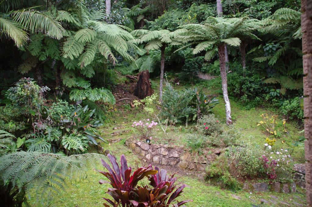 Marcel Towers Holiday Apartments Nambucca Heads Exterior photo